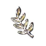 Pin | Alfinete Acácia