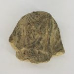 Fragmento de Escultura