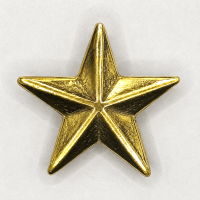 Pin Estrela