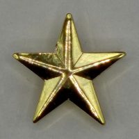 Pin Estrela